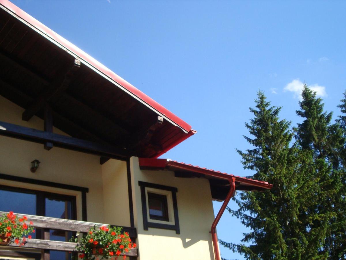 Casa Cu Flori Hotel Buşteni Екстериор снимка