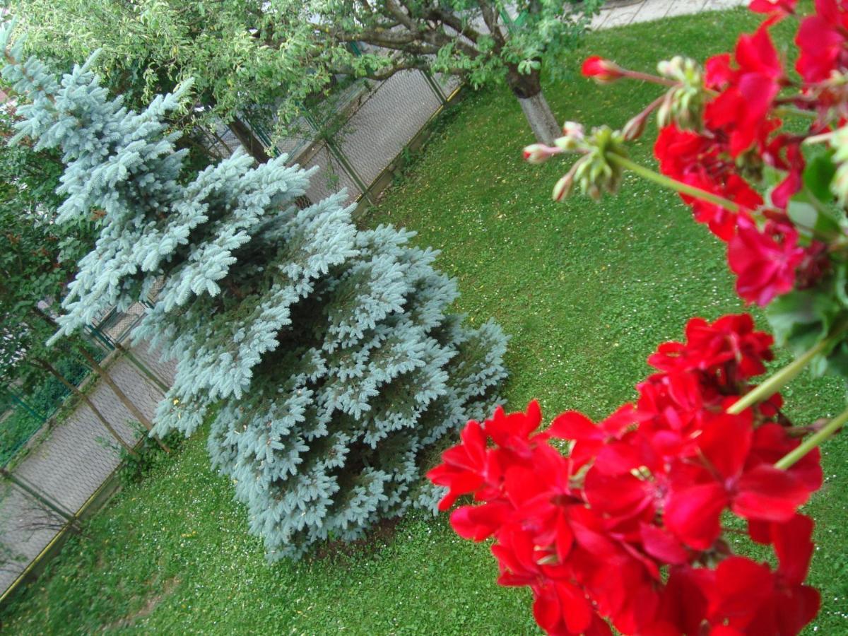 Casa Cu Flori Hotel Buşteni Екстериор снимка