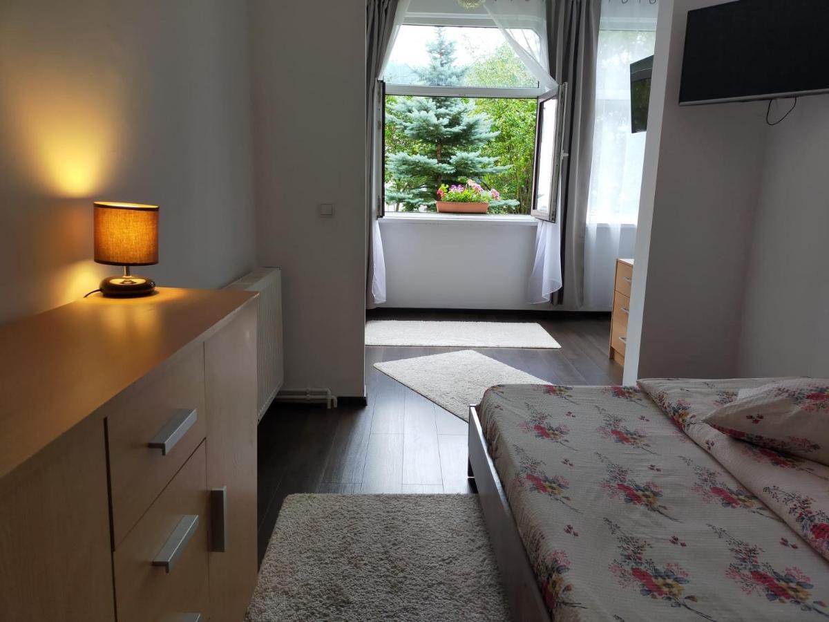 Casa Cu Flori Hotel Buşteni Екстериор снимка