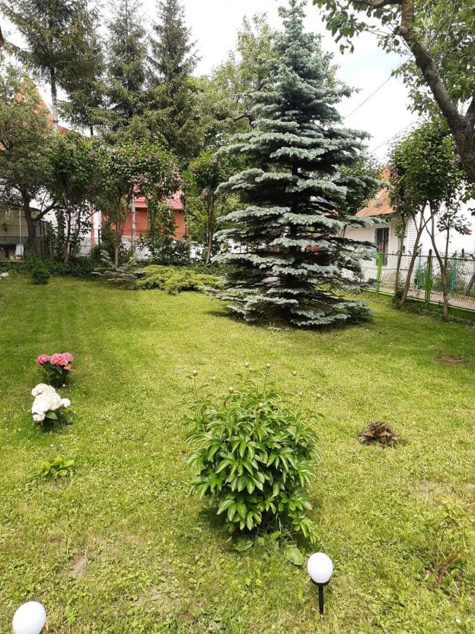 Casa Cu Flori Hotel Buşteni Екстериор снимка