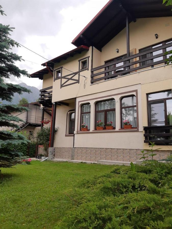 Casa Cu Flori Hotel Buşteni Екстериор снимка