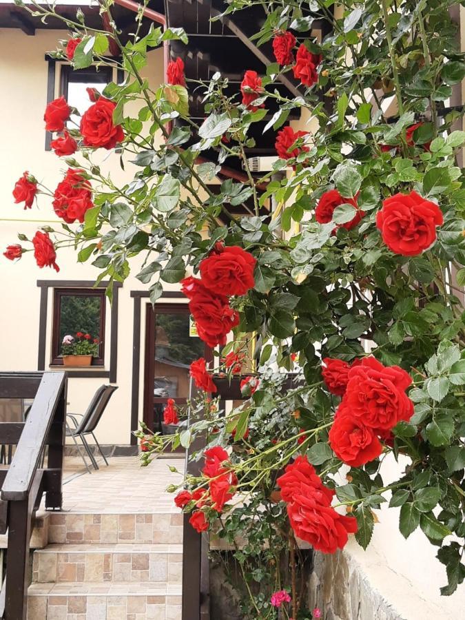 Casa Cu Flori Hotel Buşteni Екстериор снимка