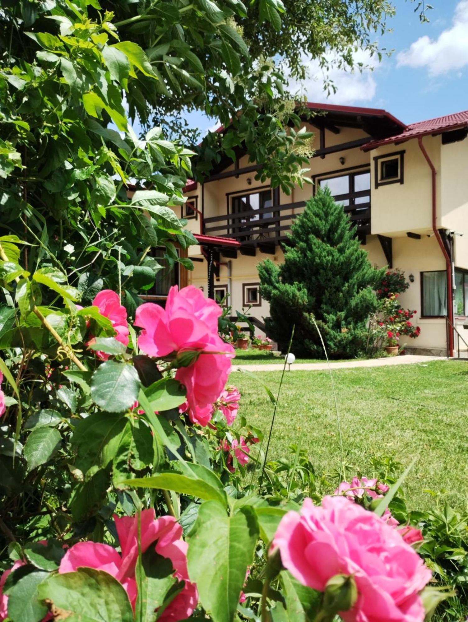 Casa Cu Flori Hotel Buşteni Екстериор снимка